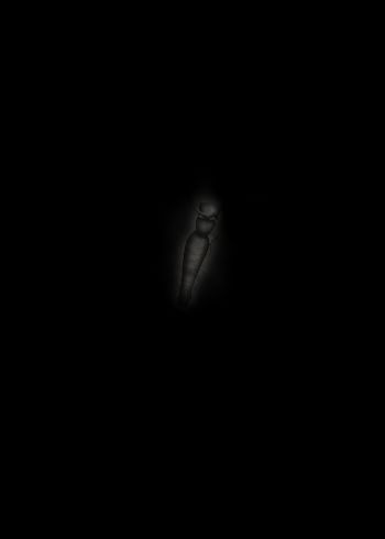 Cover of The Pathetic Life Of Erik Van Skellen 2 - Part 8 - Abandoned To Misery